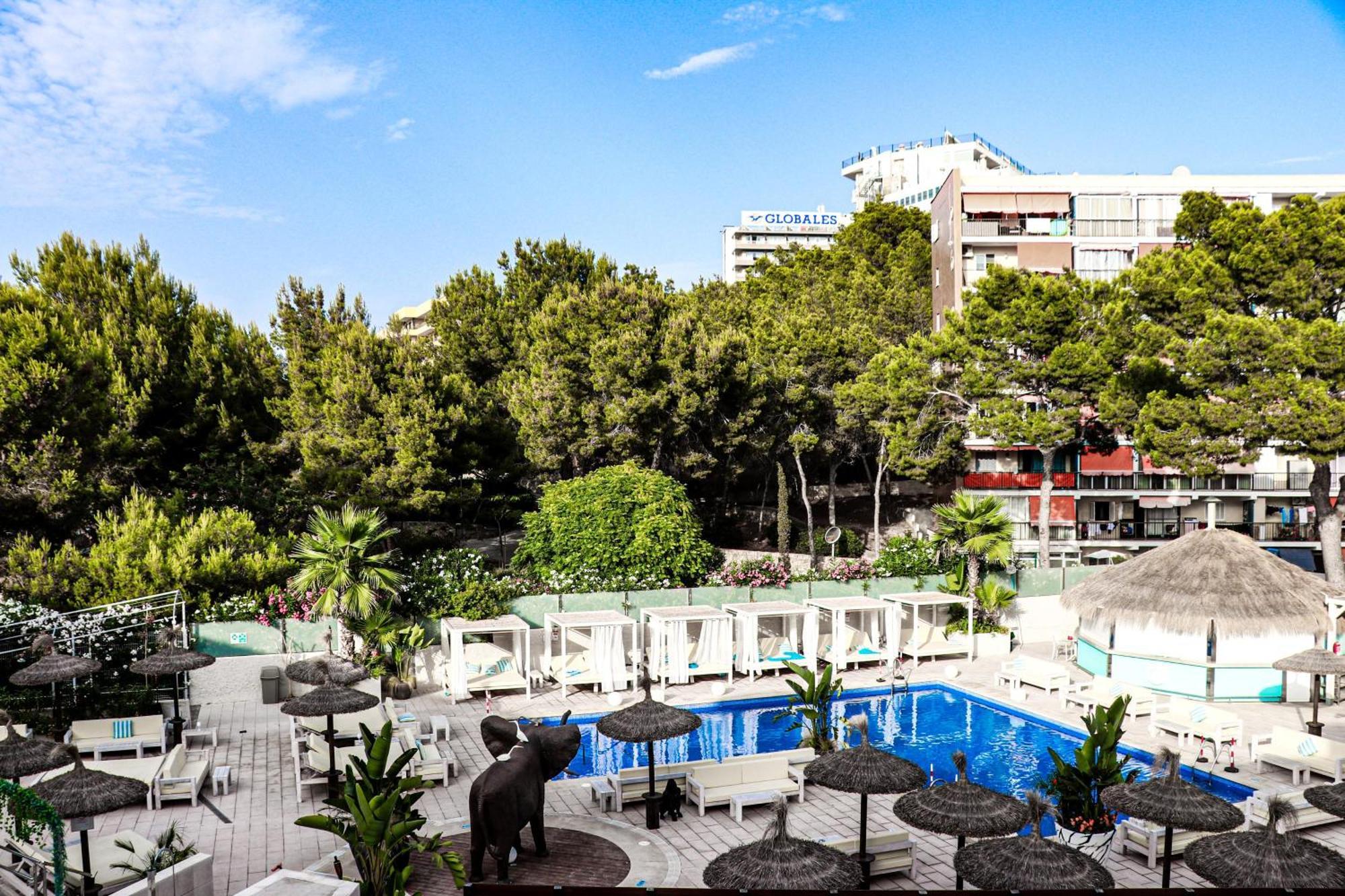 Appartement Mallorca Magaluf (Mallorca)