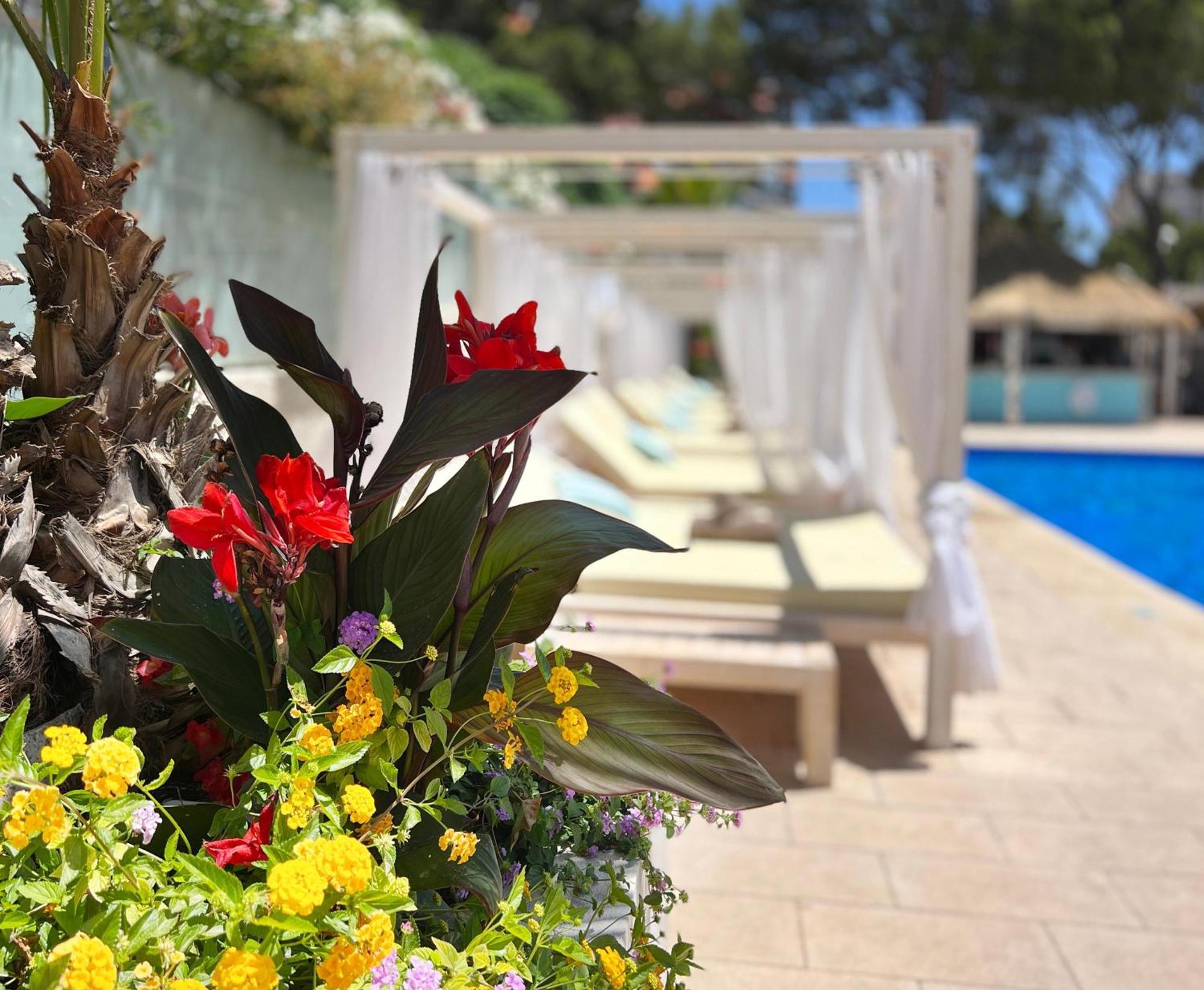 Appartement Mallorca Magaluf (Mallorca)